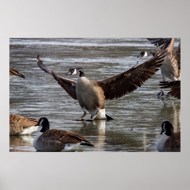 Thin Ice Poster (Framsidan)