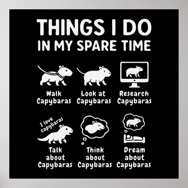 Things I Do In My Spare Time Capybara Funny Poster (Framsidan)