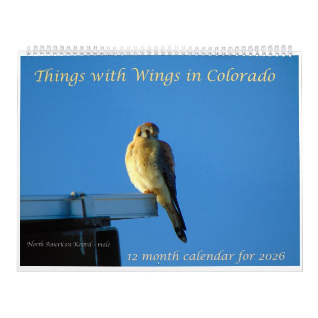 Things with Wings: A Wildlife Photography Calendar Kalender (Omslag)