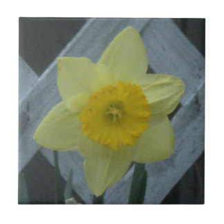 Think Spring! Kakelplatta