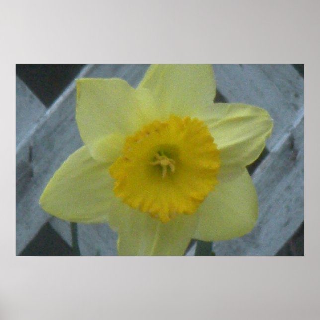 Think Spring! Poster (Framsidan)