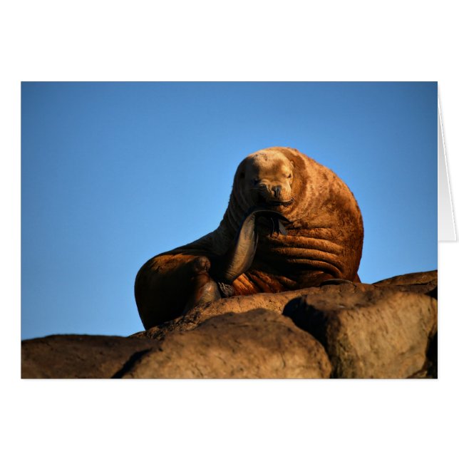 Thinker Hälsningskort (Framsidan Horizontal)