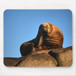 Thinker Musmatta
