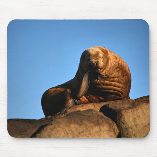 Thinker Musmatta (Framsidan)