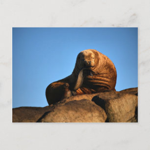 Thinker Vykort