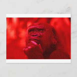 Thinking Gorilla Vykort