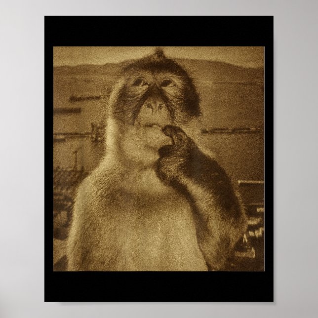 Thinking Monkey Meme Vintage Retro  Poster (Framsidan)