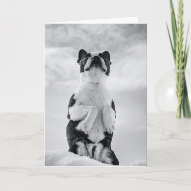 Thinking Of U Kort (Framsida)