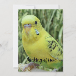 Thinking of You card Inbjudningar