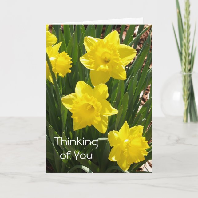 "Thinking of You" Daffodil Card Kort (Framsida)
