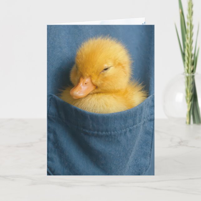 Thinking of You Duckling In a Blue T-shirt Pocket Kort (Framsida)