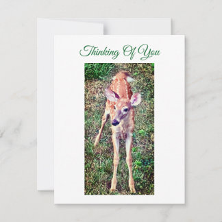 Thinking Of You Flat Note Card With Fawn Anteckningskort