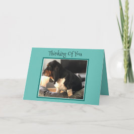 "Thinking of you"-kort W/Cute Basset hittades Kort