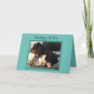 "Thinking of you"-kort W/Cute Basset hittades Kort