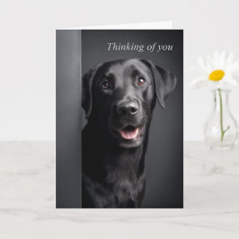 Thinking of You Labrador Retriever Kort