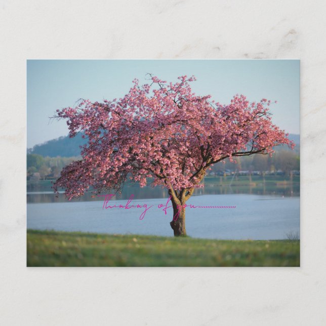 thinking of you nature  vykort (Framsida)