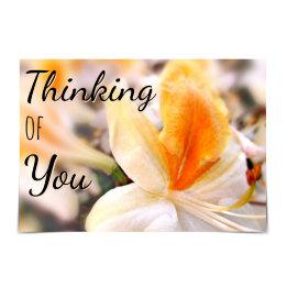 "Thinking of You" Orange Azalea Card Kort