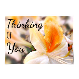 "Thinking of You" Orange Azalea Card Kort