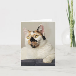 Thinking of you Photo Greeting Kort