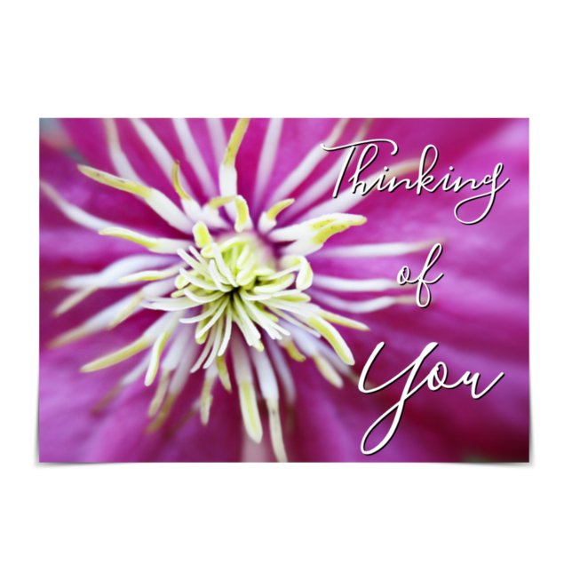 "Thinking of You" Rosa-Lila Clematis-kort Kort (Skapare uppladdad)