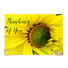 "Thinking of You" Sunny Thoughts SolroCard Kort
