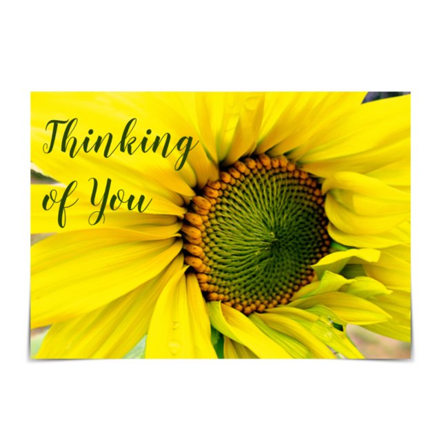 "Thinking of You" Sunny Thoughts SolroCard Kort (Skapare uppladdad)
