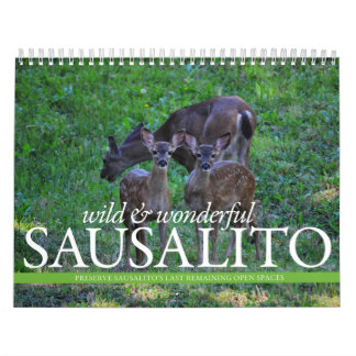 THINKSausalito 2012 kalender