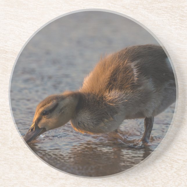 Thirsty Baby Underlägg Sandsten (Framsidan)