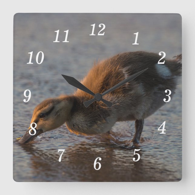 Thirsty Baby Wall Clock Fyrkantig Klocka (Framsida)