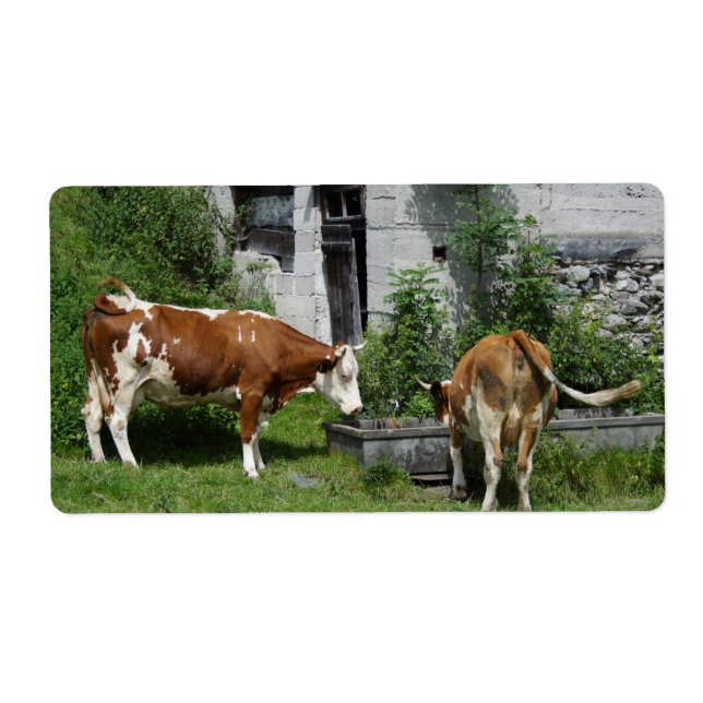 Thirsty Fleckvieh Fraktsedel (Framsidan)