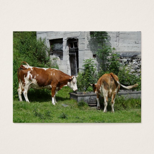 Thirsty Fleckvieh Visitkort (Framsidan)