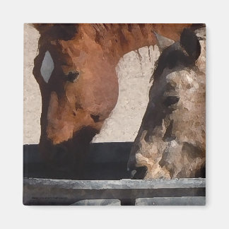 Thirsty Horses Drink vid Vatten Trough Magnet
