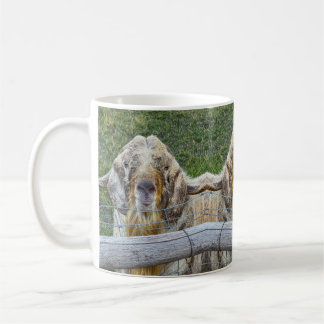 This friendly farm goat is looking at you. kaffemugg