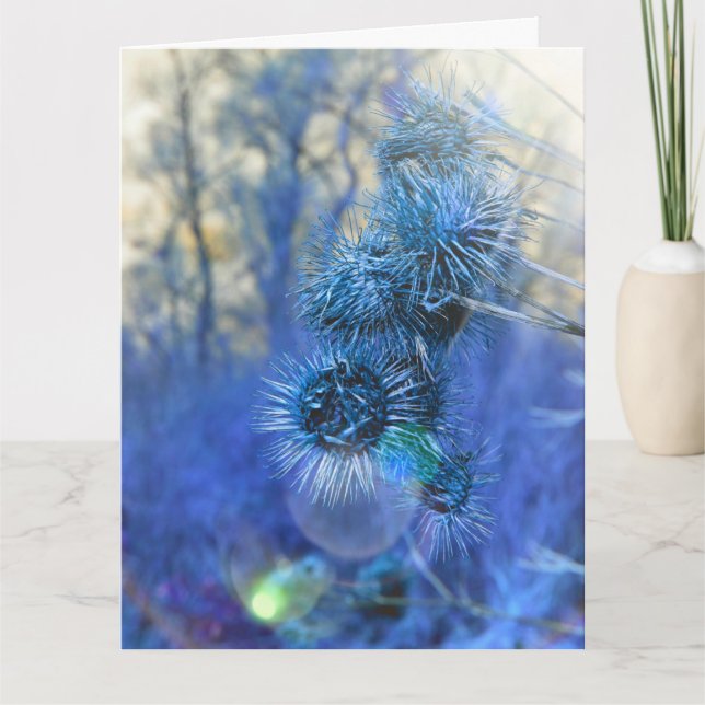 Thistel i Lila Card Kort (Framsida)