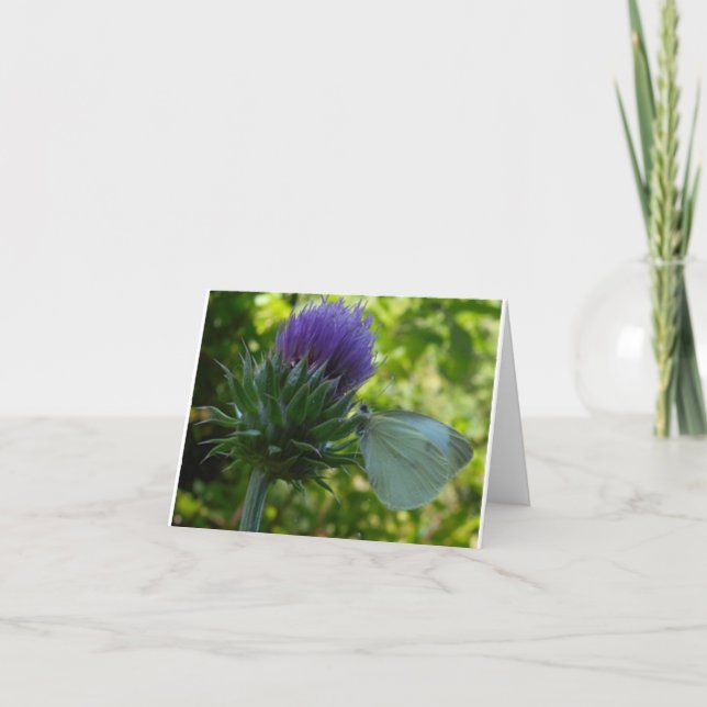 Thistel och Moth Note Card Kort (Framsida)