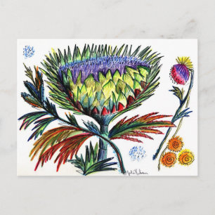 Thistle 42 vycard vykort