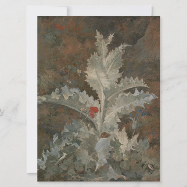 Thistle (av John Crome) Kort (Framsida)
