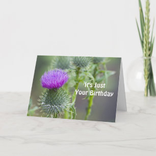 Thistle Birthday Card Kort