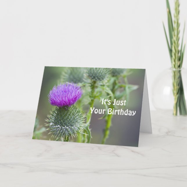 Thistle Birthday Card Kort (Framsida)