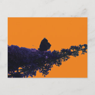 Thistle Butterfly on Butterfly Bush DIY Postcard Vykort