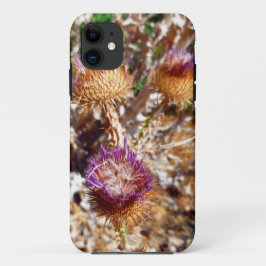 Thistle