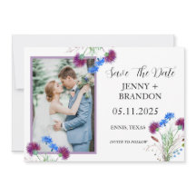 Thistle Elegant Scottish Lila Blommigt Photo