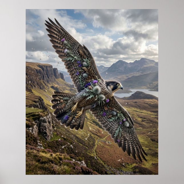 Thistle Falcon Highland Sky Poster (Framsidan)