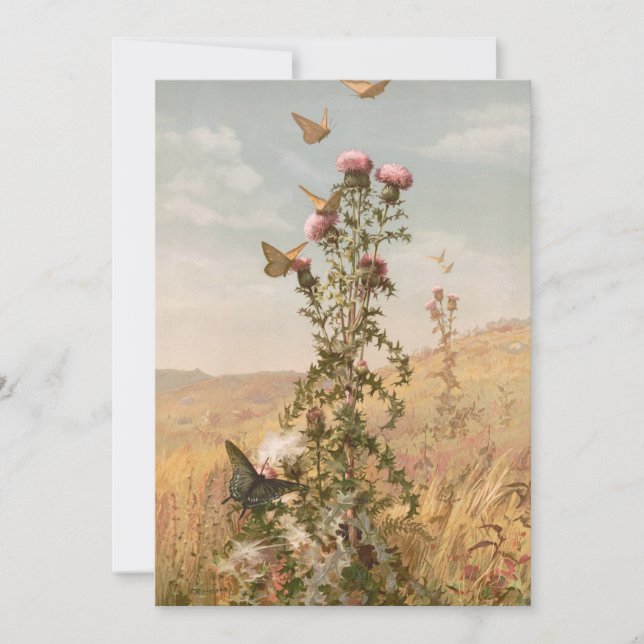 Thistle | Fidelia Bridges (Framsida)