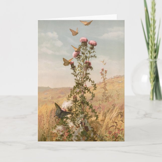 Thistle | Fidelia Bridges Kort (Framsida)