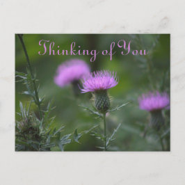 Thistle Flowers tänker på ditt vykort