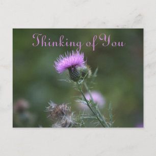 Thistle Flowers tänker på ditt vykort