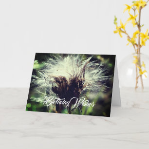 Thistle Fluff Flower Anpassade Birthday Kort