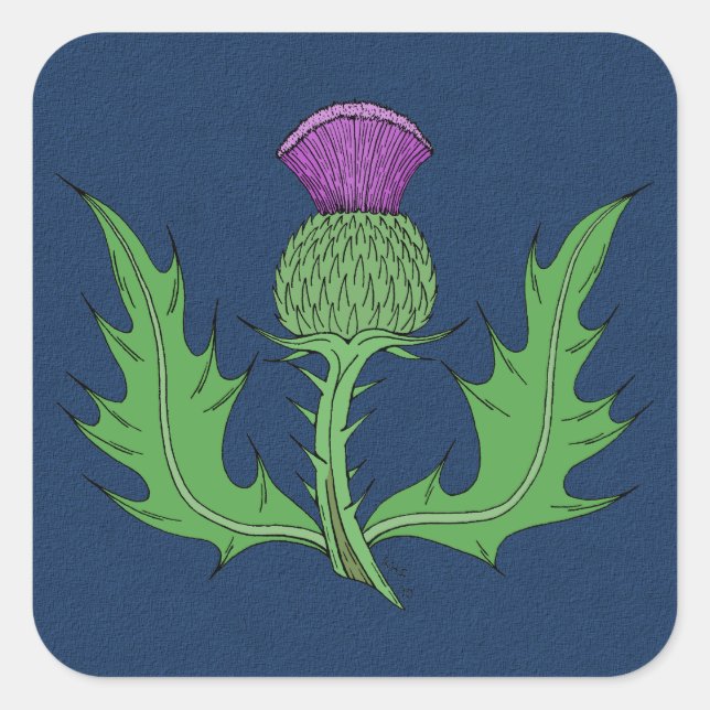 Thistle Fyrkantigt Klistermärke (Framsida)