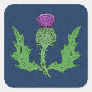 Thistle Fyrkantigt Klistermärke